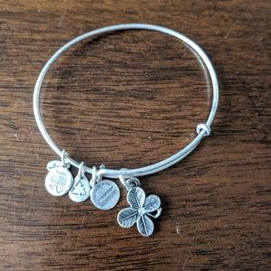 Alex and Ani (+energy)